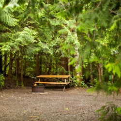 Surf Junction Campground and RV Park - Forested tent site