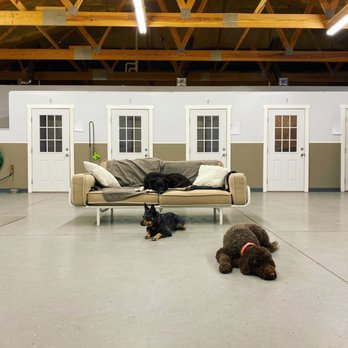 Summit Pet Resort - Pet Boarding Near Me - Belgrade, Montana