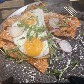 Lost Parrot Cafe - Chilaquiles - Breakfast & Brunch Near Me - South Pasadena, California Lost Parrot Cafe - Chilaquiles - Breakfast & Brunch Near Me - South Pasadena, California