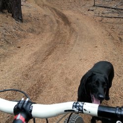 Lower Whoops Mountain Bike Trail