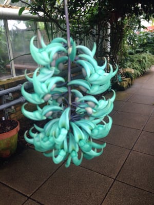 Cambridge University Botanic Garden by null