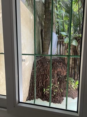 Junto al Rio Beachfront Hotel Sayulita by null