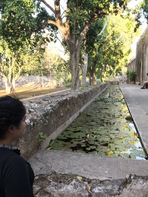 Hacienda San Pedro Ochil by null