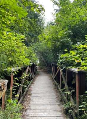 Madrona Park by null