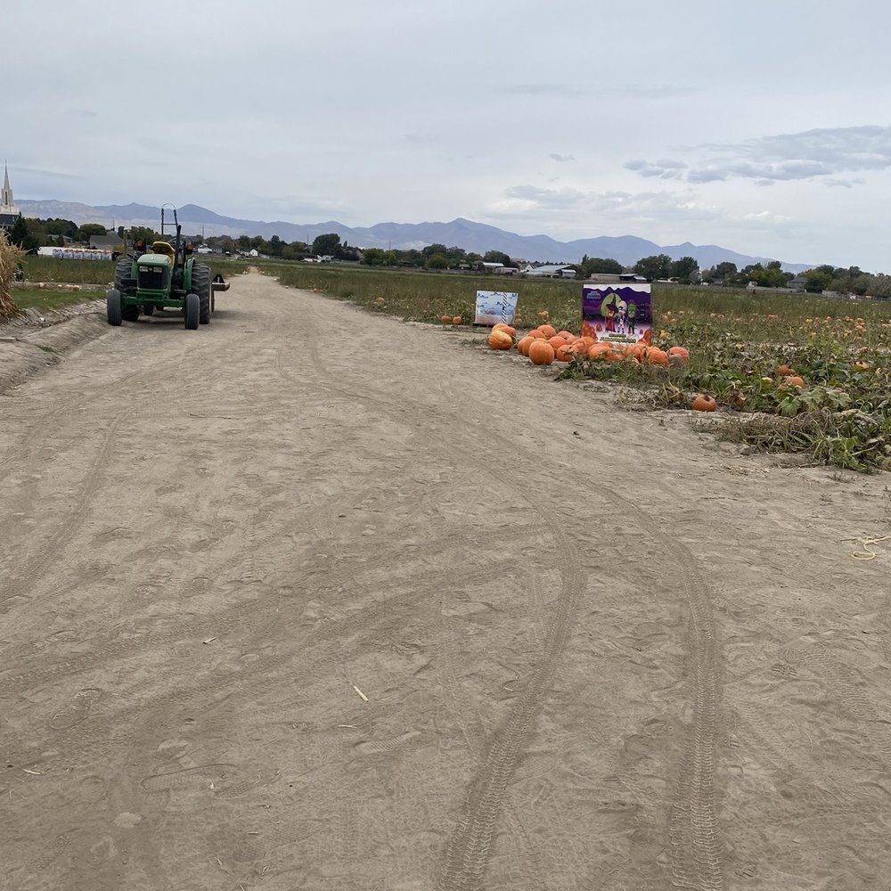 Mabey’s Pumpkin Patch - Pumpkin Patches Near Me - South Jordan, Utah Mabey’s Pumpkin Patch - Pumpkin Patches Near Me - South Jordan, Utah