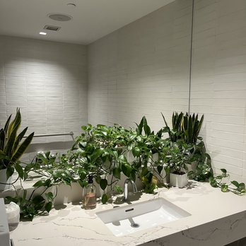 Sutra - Even the bathroom is cute! - Vegan Near Me - New York, New York