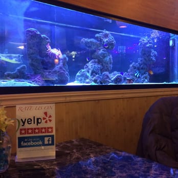 Pho Lantern Restaurant - Yelpies welcome! - Seafood Near Me - Buffalo, New York Pho Lantern Restaurant - Yelpies welcome! - Seafood Near Me - Buffalo, New York