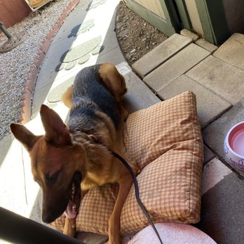Molly's Souper - owner got my baby a bed, water and treats!!!! - Breakfast & Brunch Near Me - Upland, California Molly's Souper - owner got my baby a bed, water and treats!!!! - Breakfast & Brunch Near Me - Upland, California