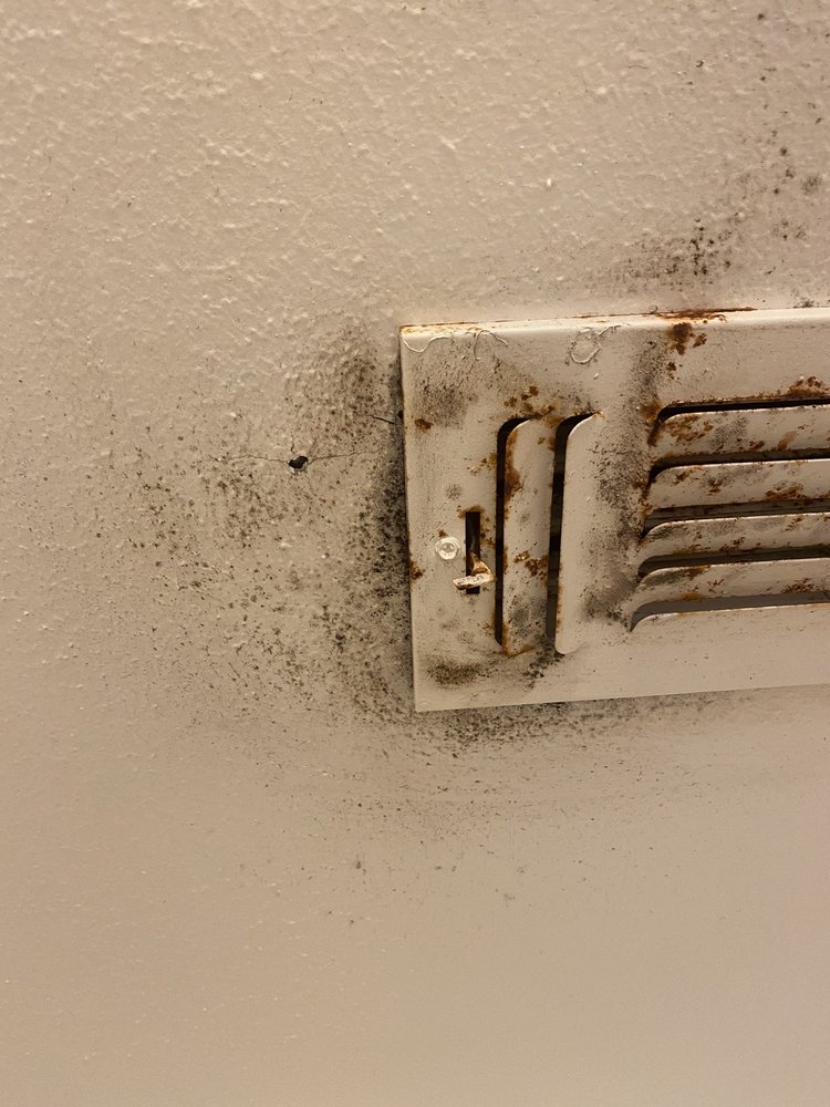 SHAMROCK PROPERTY MANAGEMENT Updated October 2024 15 Reviews 1000