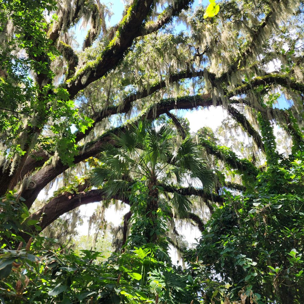Scenic Boat Tour - Boat Tours Near Me - Winter Park, Florida Scenic Boat Tour - Boat Tours Near Me - Winter Park, Florida
