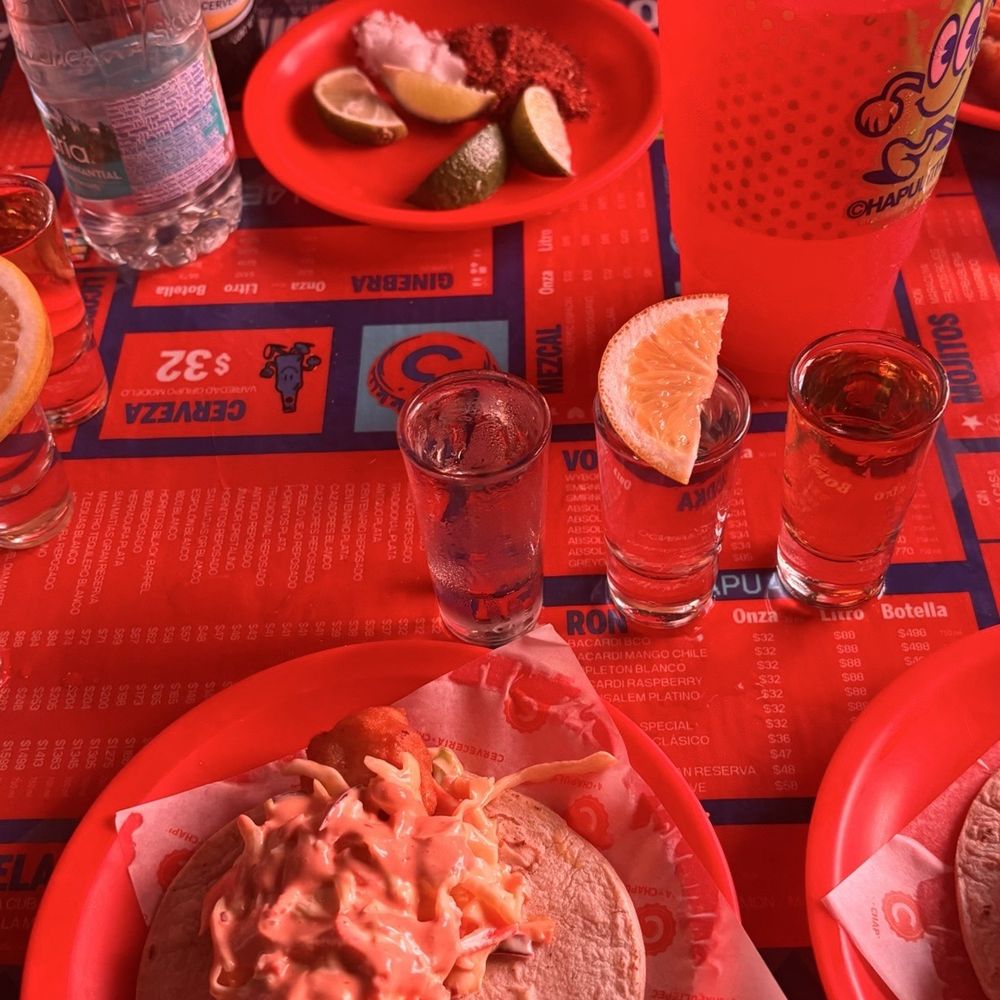Cerveceria Chapultepec - Beer Bar Near Me - Nuevo Vallarta, NAY