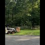 Rockhound Tree Service and Landscaping