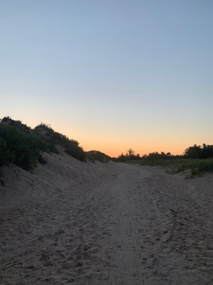 Ludington State Park Beach by null
