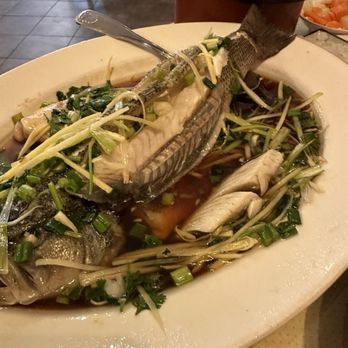 Sichuan House - Hot boiled Steamed Whole Fish with Ginger and Scallion (live fish) - Szechuan Near Me - Johns Creek, Georgia