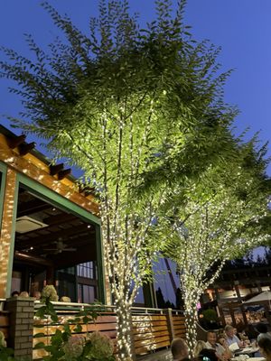 Prime: An American Kitchen & Bar by null