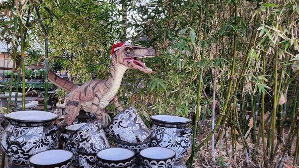 Whitfill Nursery by null