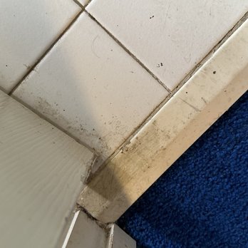 Moore Maids - Home Cleaning Near Me - Montgomery, Alabama