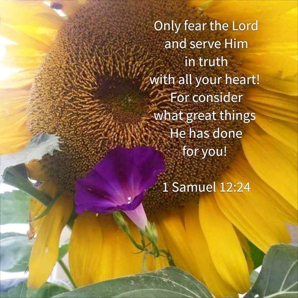 New Hope & Freedom Christian Counseling Services - grief counselor in West Lawn, PA