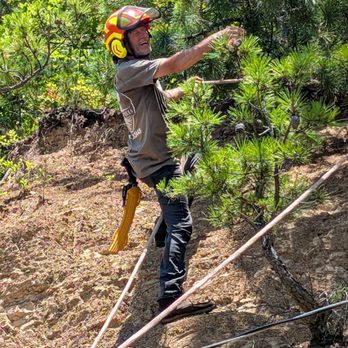 Settle Tree Services - Tree Services Near Me - Maryville, Tennessee Settle Tree Services - Tree Services Near Me - Maryville, Tennessee