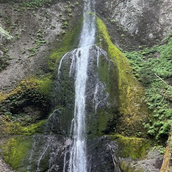 Marymere Falls - Hiking Near Me - Port Angeles, Washington Marymere Falls - Hiking Near Me - Port Angeles, Washington