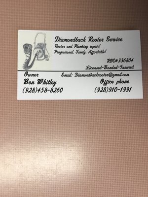 Diamondback Rooter Service Logo