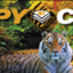 Copy Cats - Copy Cats logo