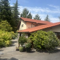 J & J Roof Cleaning Services