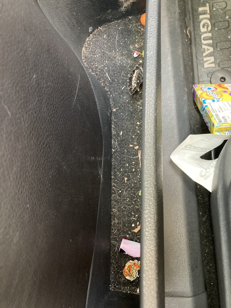 SHAMMY SHINE CAR WASHES 24 Photos & 29 Reviews Car Wash 131 Rte