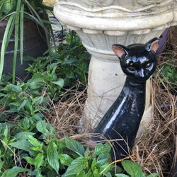 Lisenby Nursery & Outdoor - I don't know why this picture turned itself SIDEWAYS! Our cat protector!