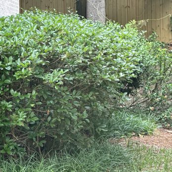 Bloom'n Gardens Landscape - Landscaping Near Me - Mableton, Georgia