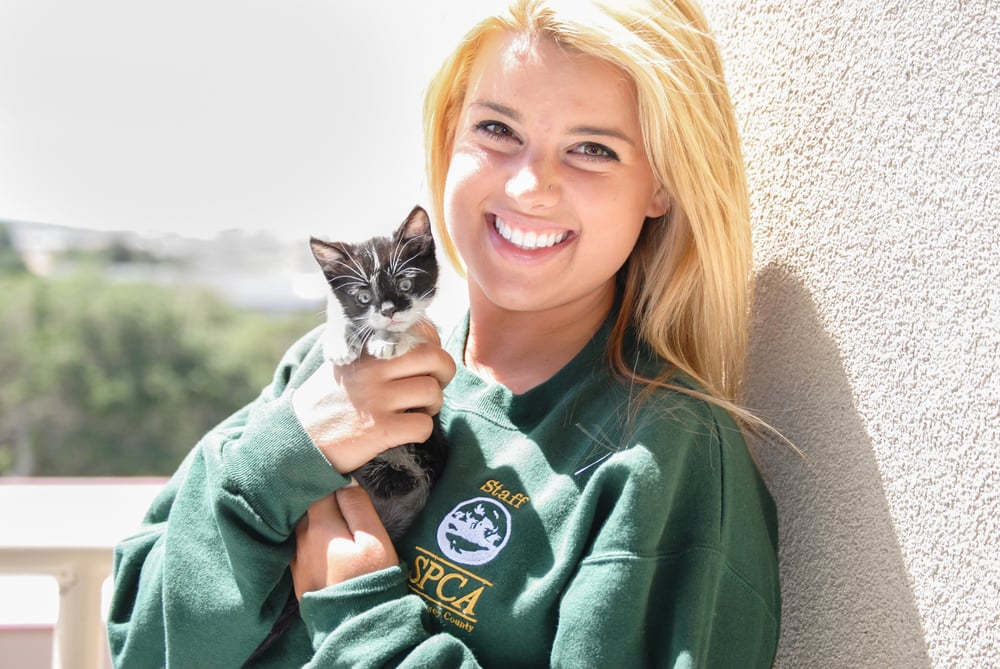 SPCA FOR MONTEREY COUNTY VETERINARY CLINIC Updated August 2024 1002