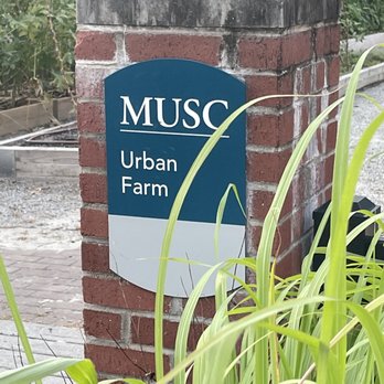 MUSC Urban Farm - Attraction Farms Near Me - Charleston, South Carolina MUSC Urban Farm - Attraction Farms Near Me - Charleston, South Carolina