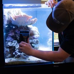 Aquatica Corals and Custom Aquariums - Aquarium Service