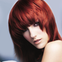 Photo of Daisy Hair Design