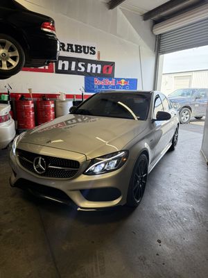 ライブ写真「7」 ホンダ（HONDA）1998年 Live Dio ZX・カラーチェンジのカタログ情報