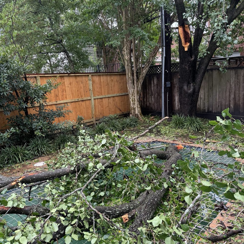 Dad's Home Repairs - Fence on the left was installed by Dad's Home Repairs. It withstood hurricane Beryl, unfortunately the pear tree didn't! - Painters Near Me - Houston, Texas