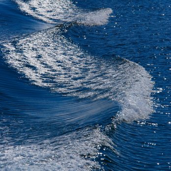 Major Marine Tours - Tours Near Me - Anchorage, Alaska Major Marine Tours - Tours Near Me - Anchorage, Alaska