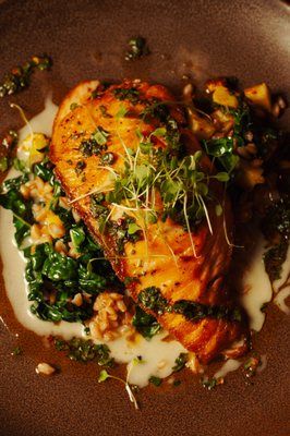 Cala Scottsdale by null