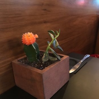 The Carvery - The plant on the table. - Steakhouses Near Me - Long Beach, California The Carvery - The plant on the table. - Steakhouses Near Me - Long Beach, California