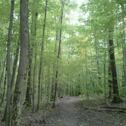 Eldon Russell Park - On the nature trail