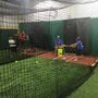Photo of Line Drive