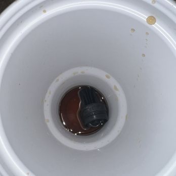 Burger King - the inside of a white bowl - Fast Food Near Me - Fresno, California