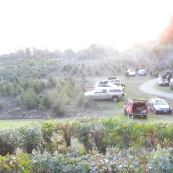 Rancho Siempre Verde - View from the top of the hill - Rancho Siempre Verde (Christmas Tree Farm) - Christmas Trees Near Me - Pescadero, California Rancho Siempre Verde - View from the top of the hill - Rancho Siempre Verde (Christmas Tree Farm) - Christmas Trees Near Me - Pescadero, California