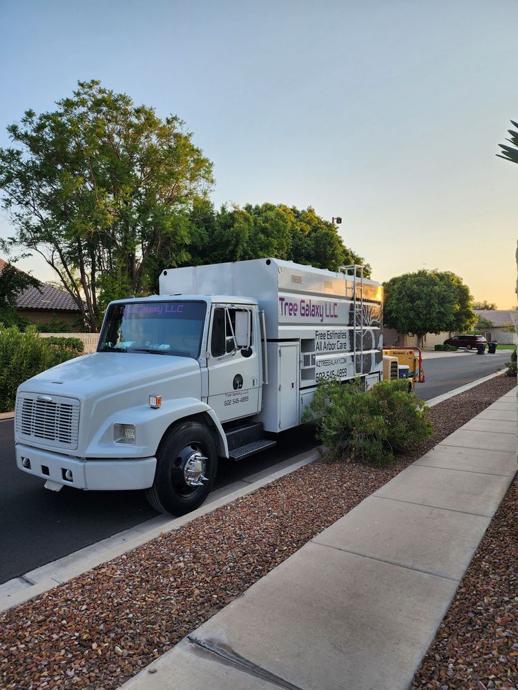 Tree Galaxy - tree service in Phoenix, AZ