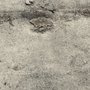 Photo of Ronald Merchant Roofing