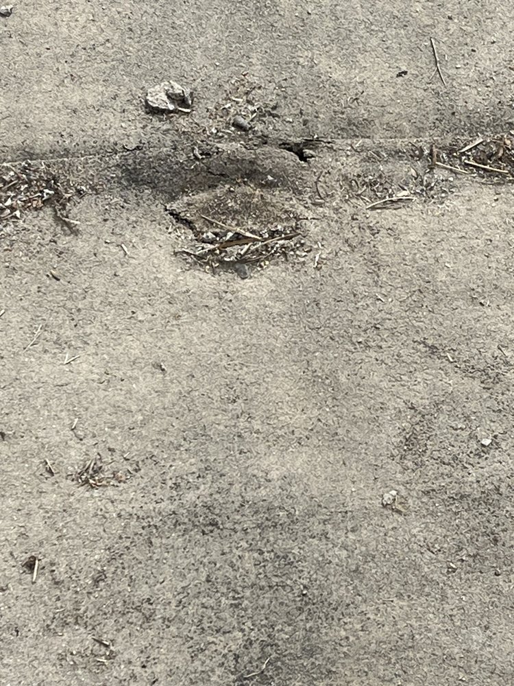 Slide of Ronald Merchant Roofing