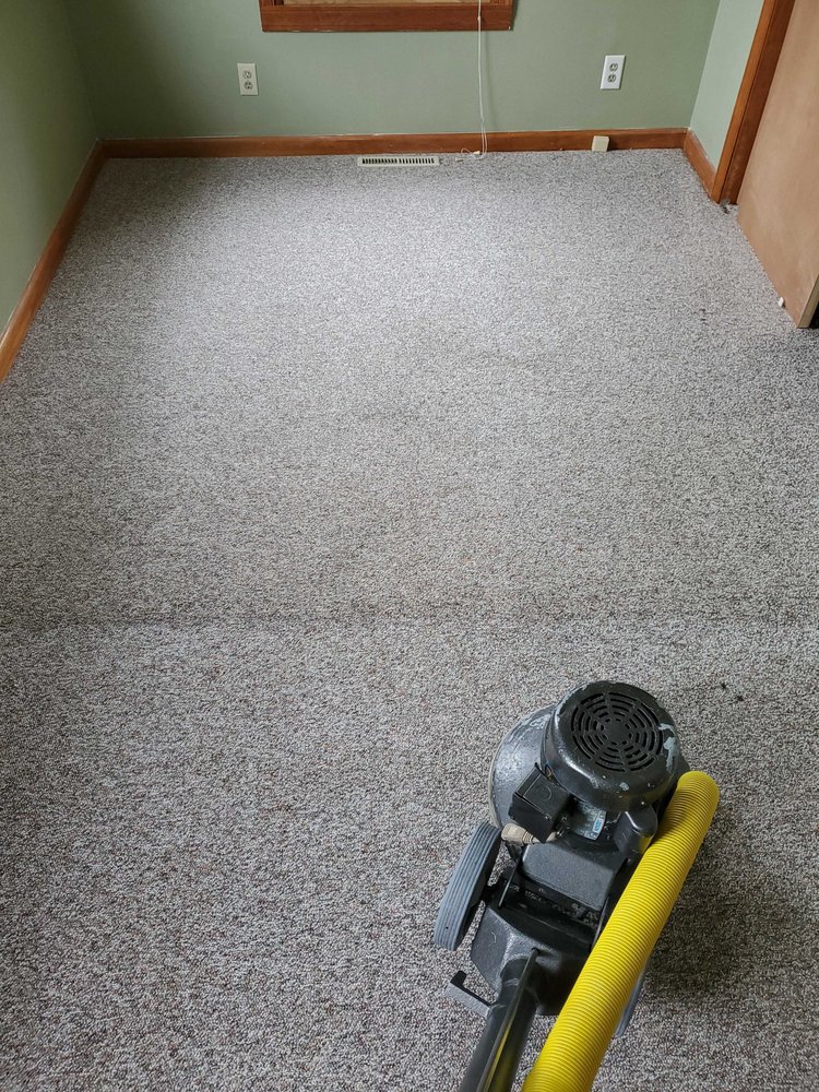 CLEAN BEE FLOORING & UPHOLSTERY CARE Updated September 2024 41