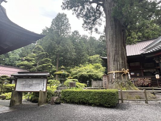 Kitaguchi Hongu Fuji Sengen Shrine by null