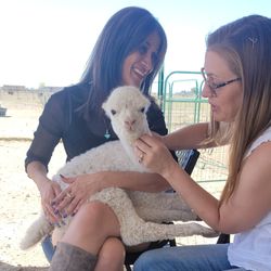 Heather Glen Alpacas
