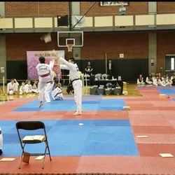 Master Kwon's Tiger Kicks Martial Arts